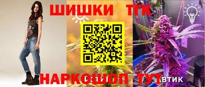 мдпв Пугачёв