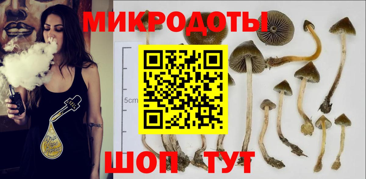 Псилоцибиновые грибы Psilocybe Ревда