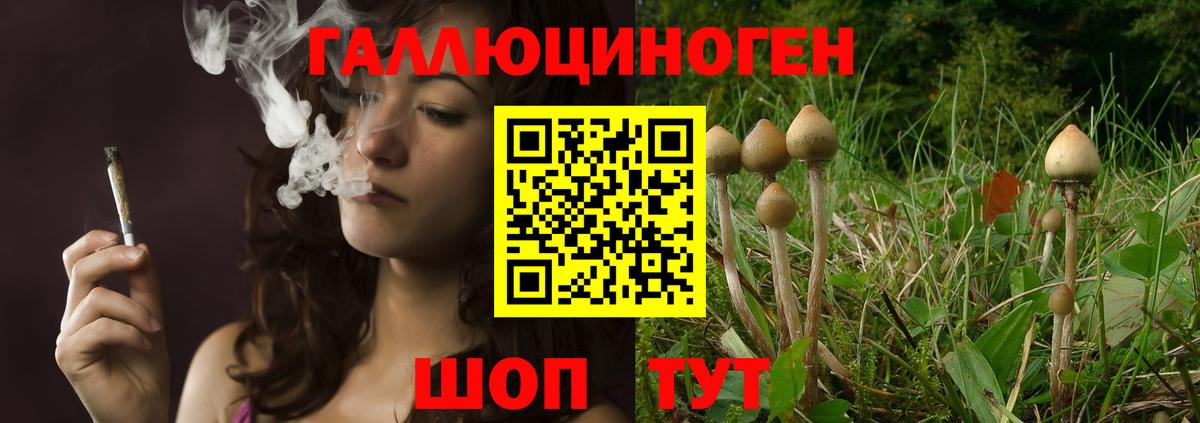 Ревда  Псилоцибиновые грибы Magic Shrooms  Вход с VPN  Псилоцибиновые грибы прущие грибы 